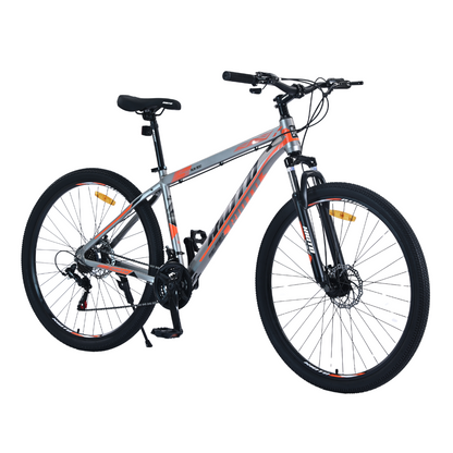 KIOTO MTB R29